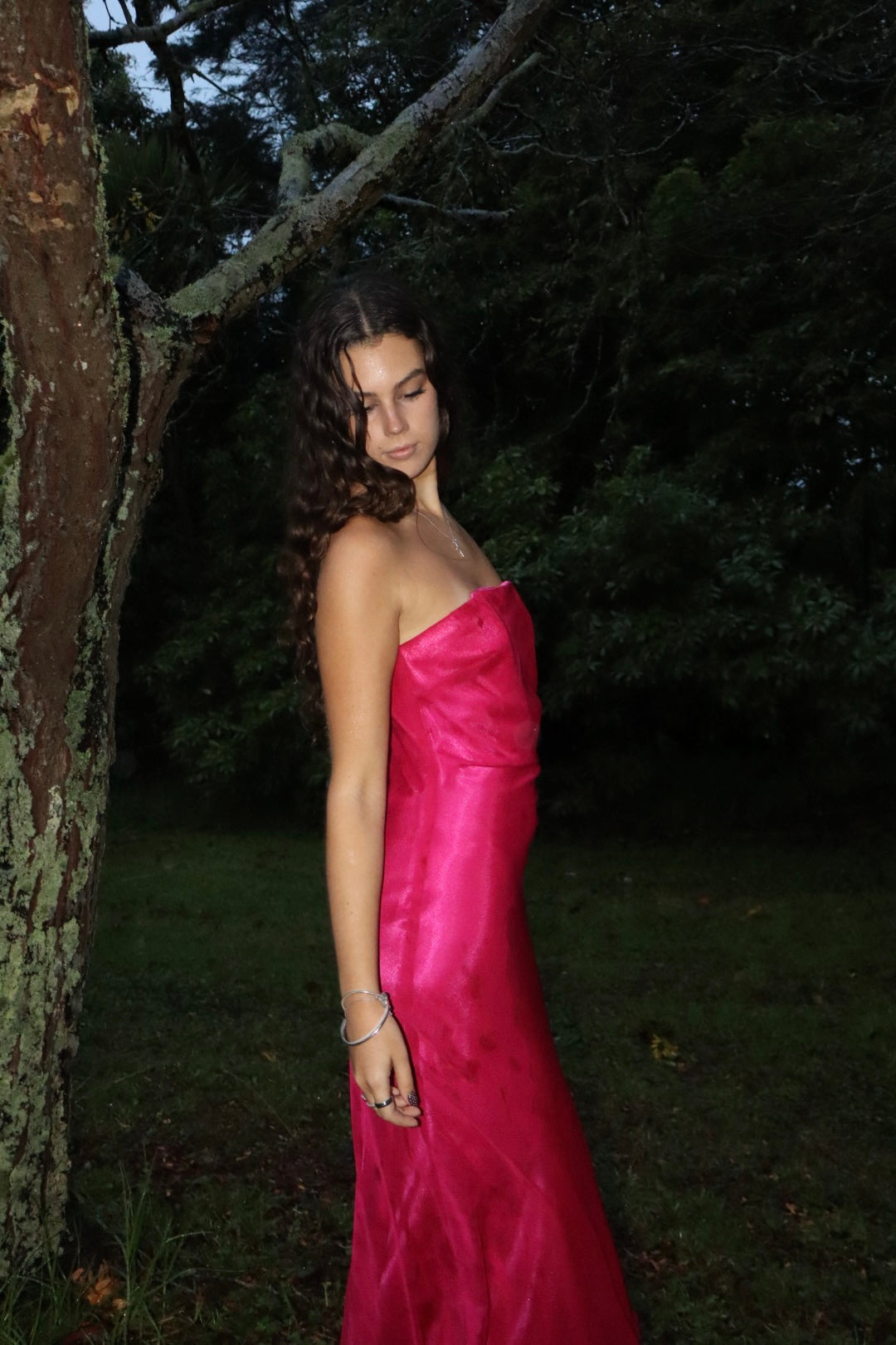 The Eleanor dress