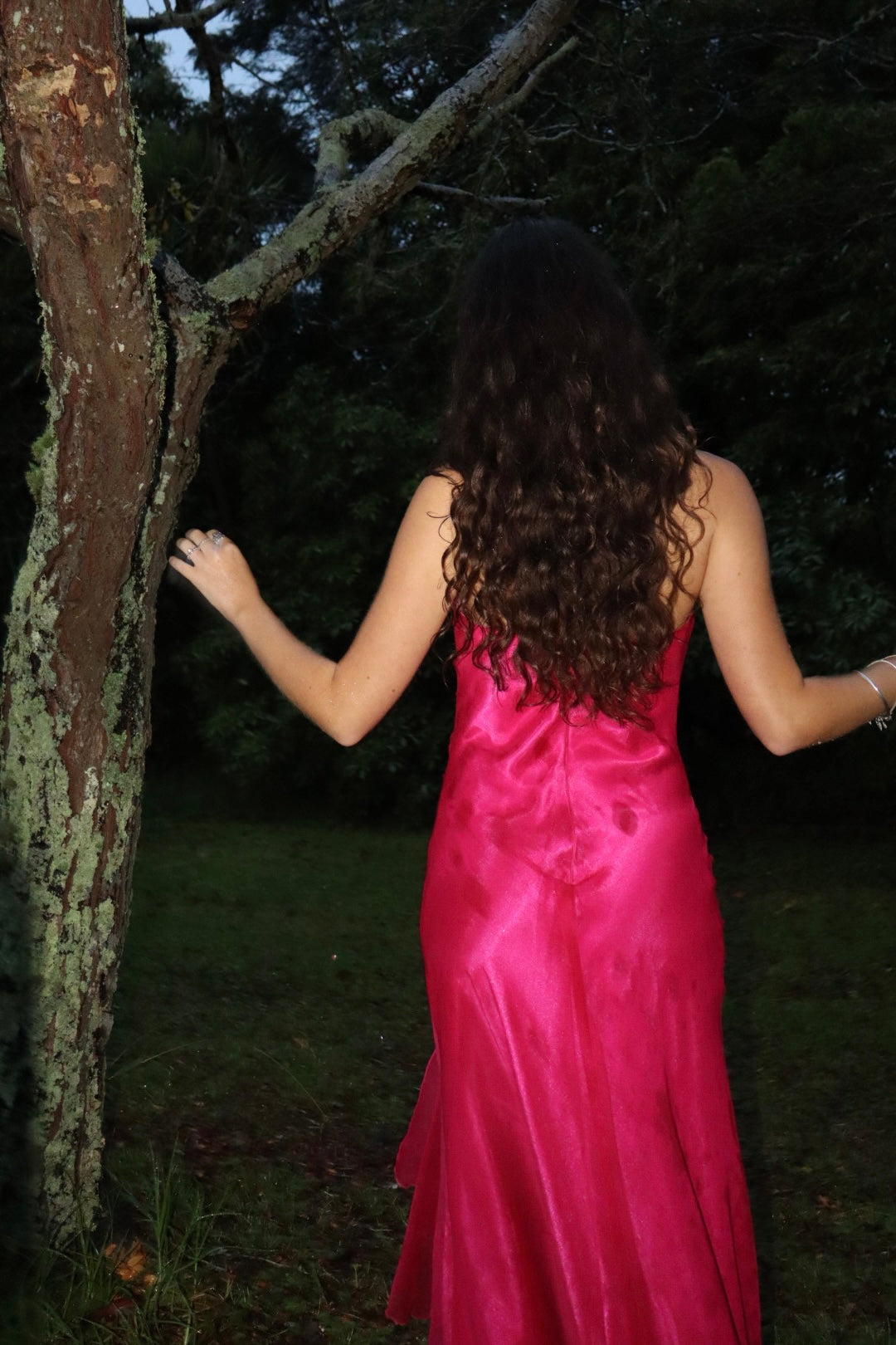 The Eleanor dress