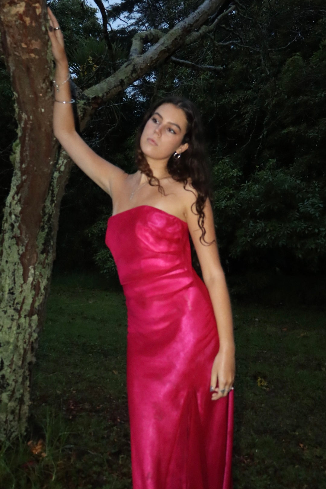 The Eleanor dress