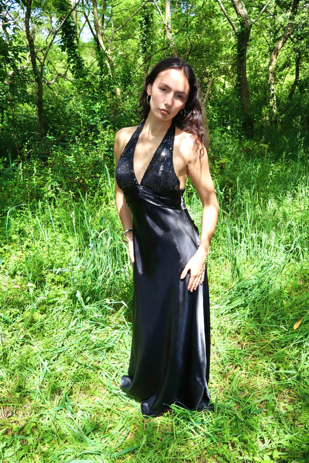 Vintage Vienna gown