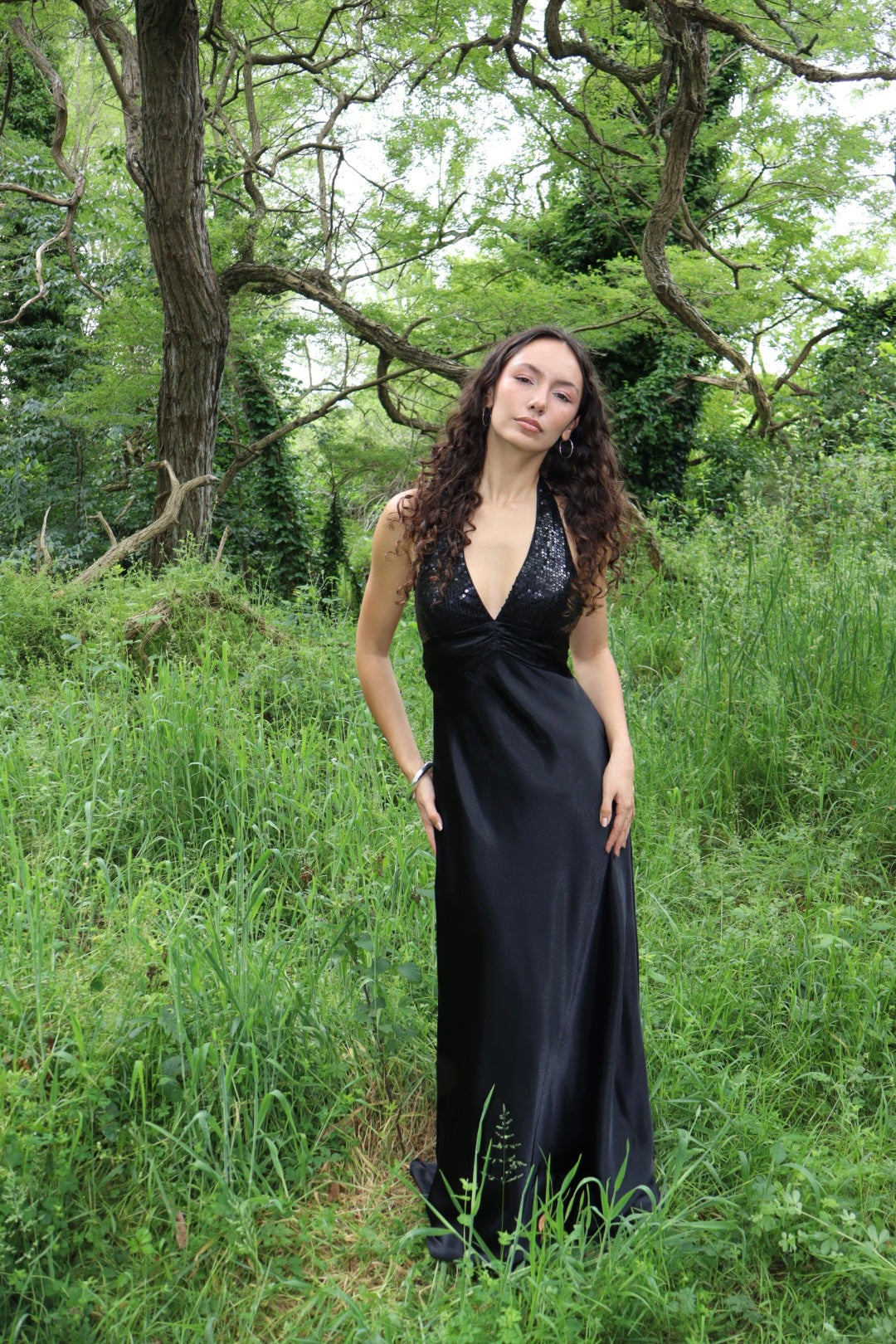 Vintage Vienna gown