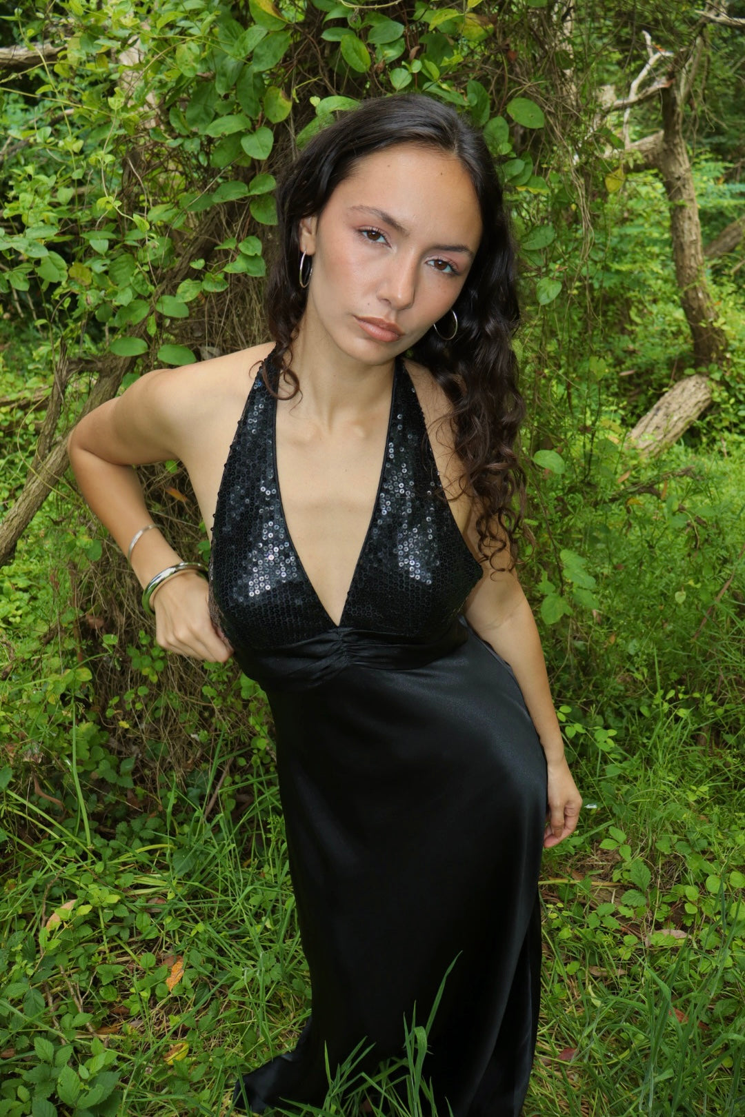 Vintage Vienna gown