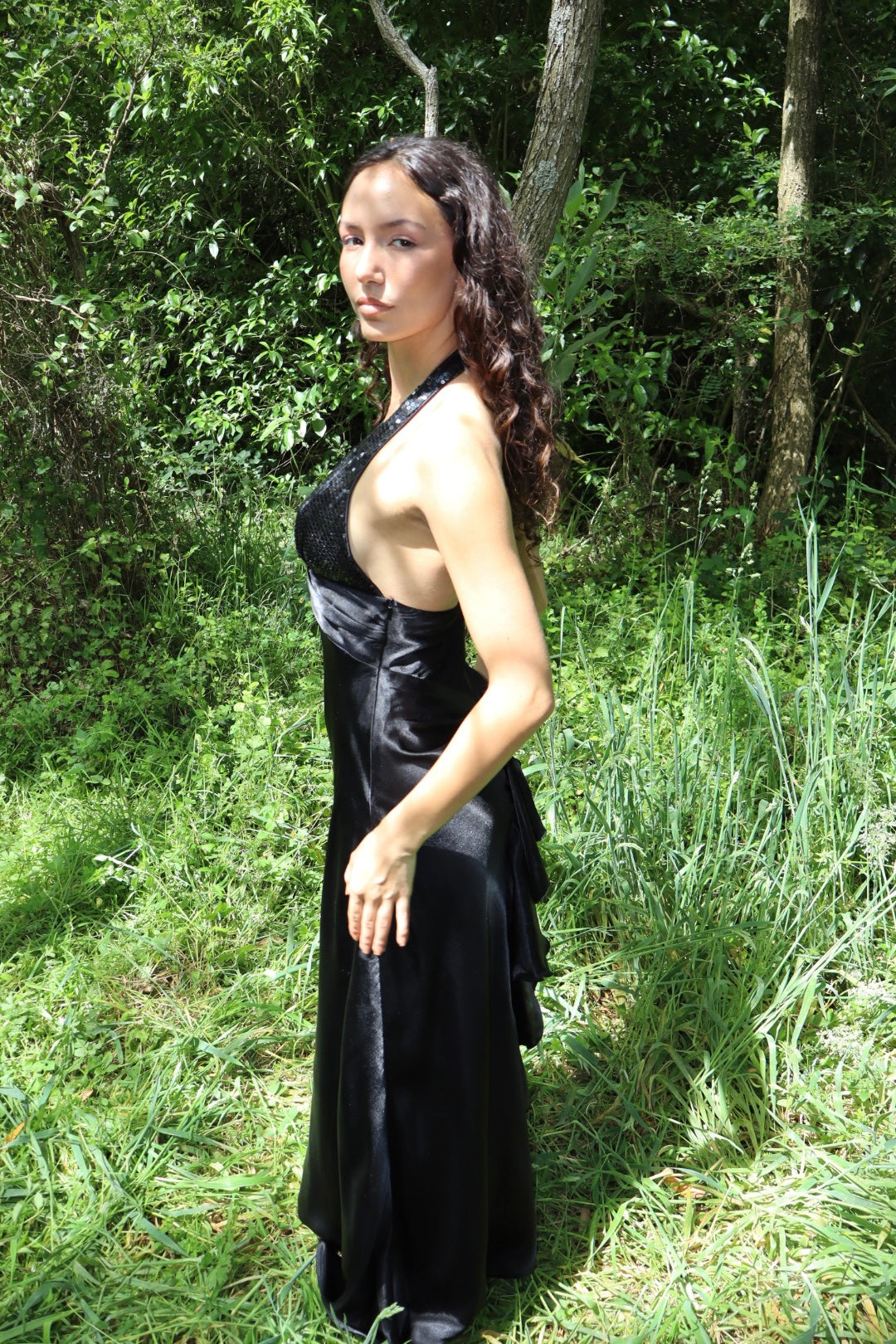 Vintage Vienna gown