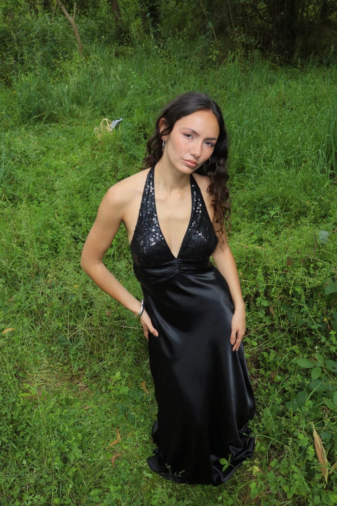 Vintage Vienna gown