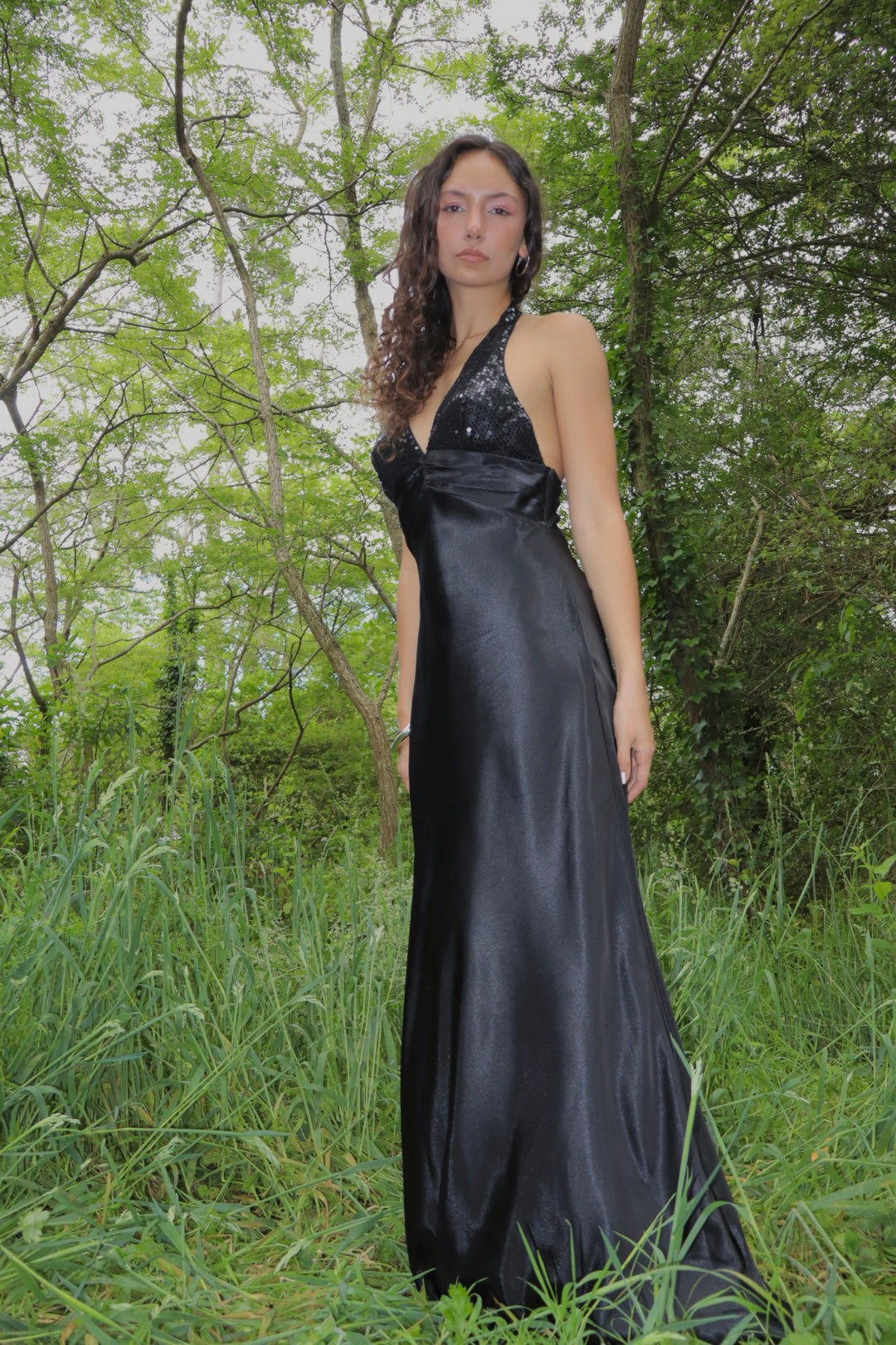 Vintage Vienna gown