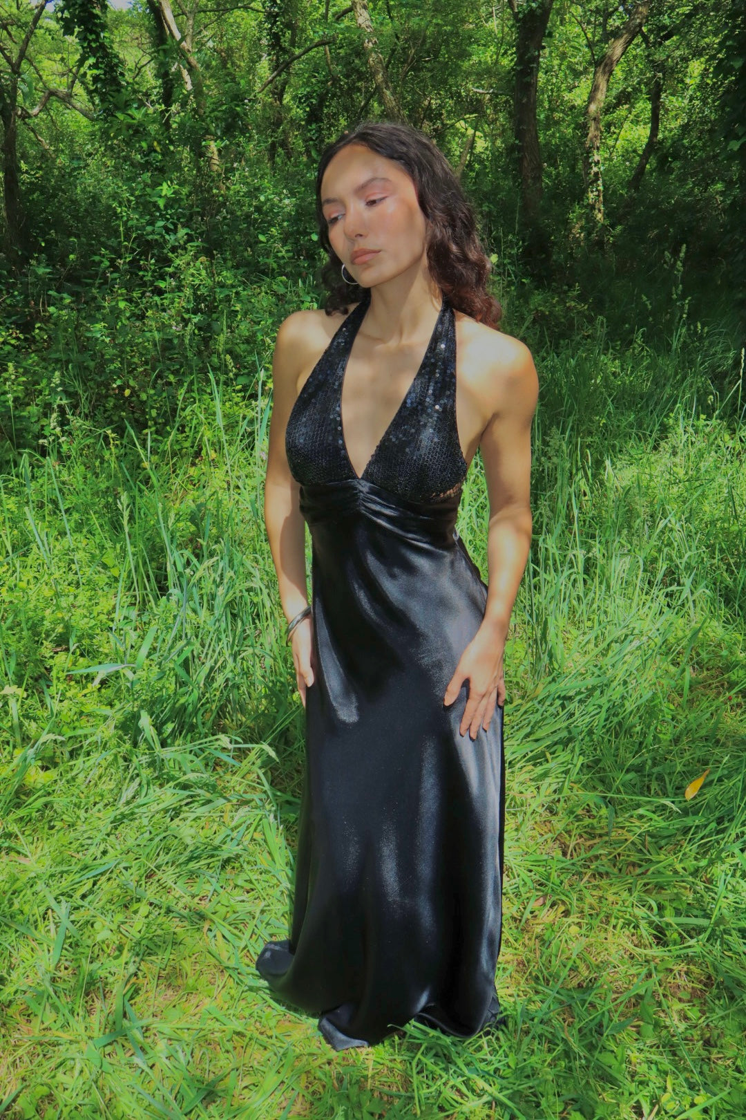Vintage Vienna gown