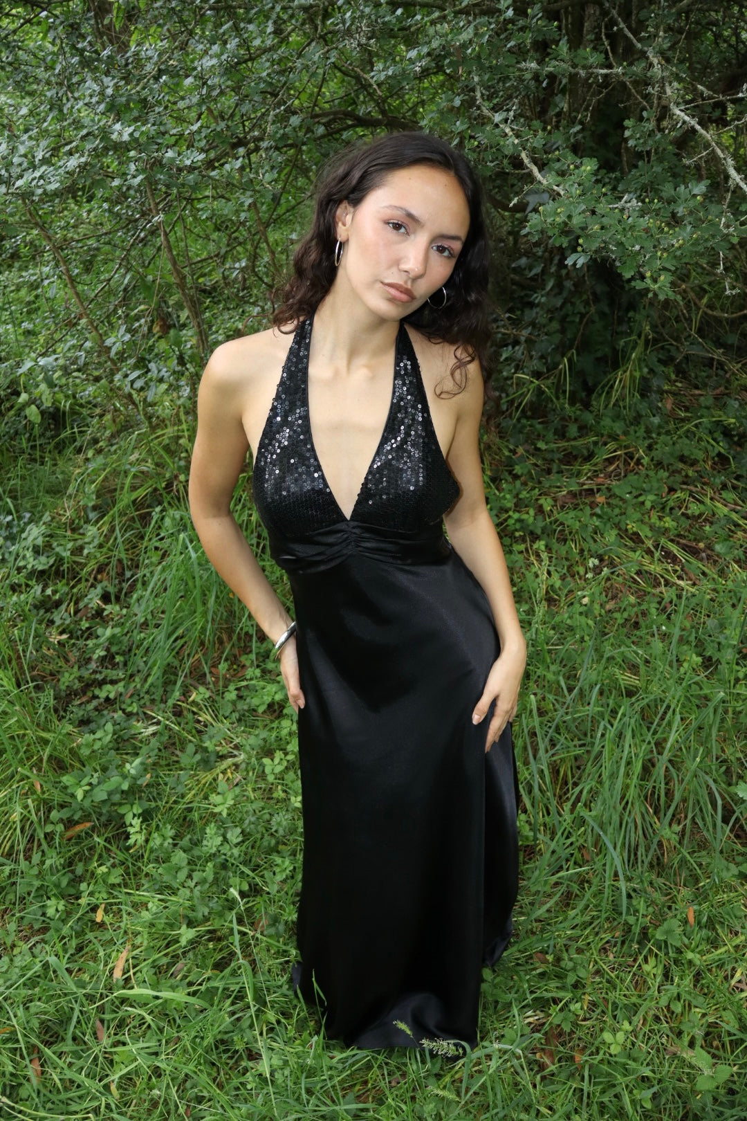 Vintage Vienna gown