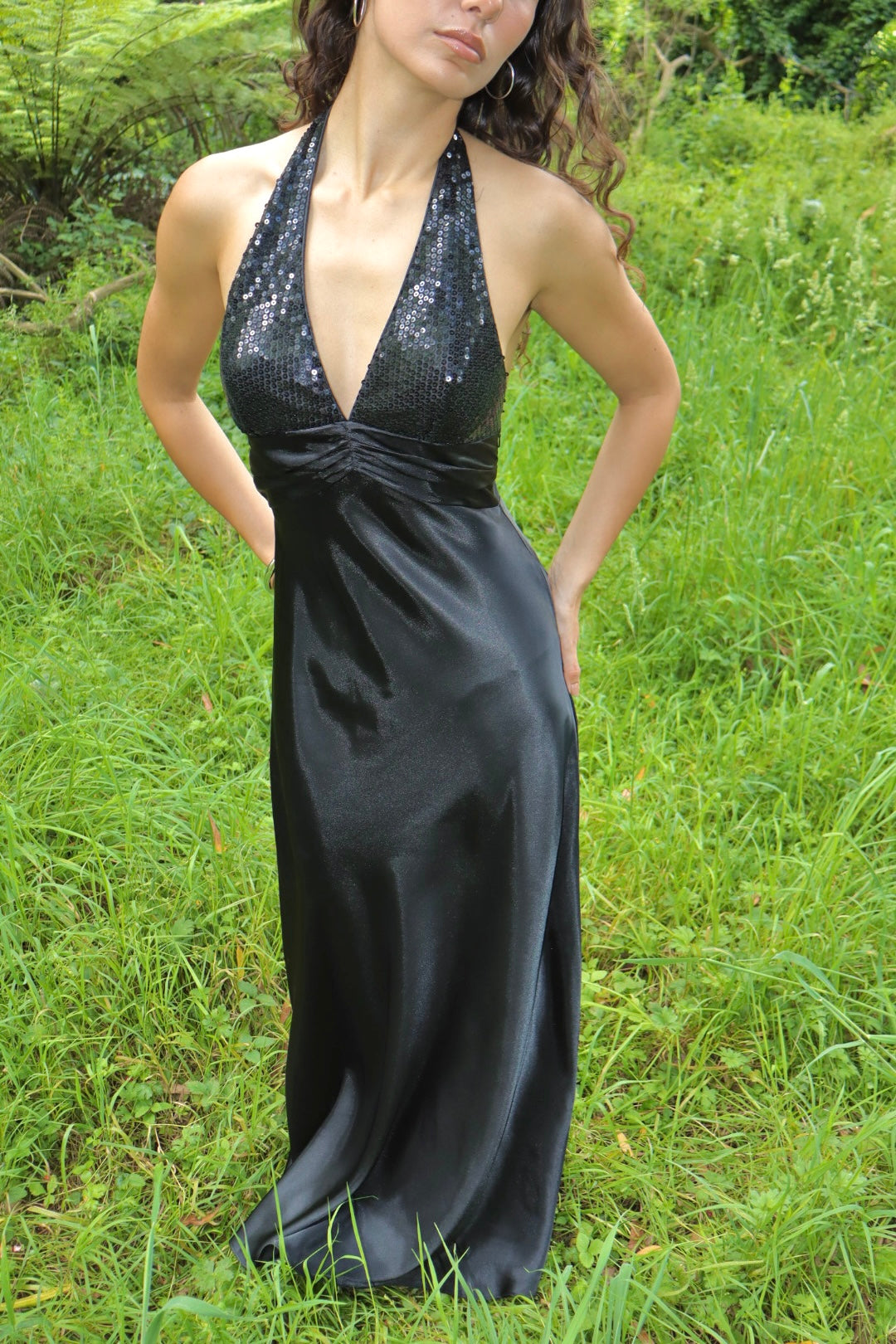 Vintage Vienna gown